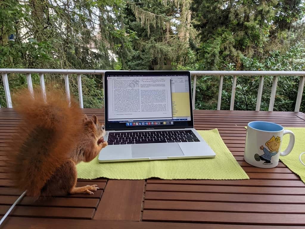 Eichhörnchen mag Messdaten_Kerstin Ebell_Mias Klimatagebuch